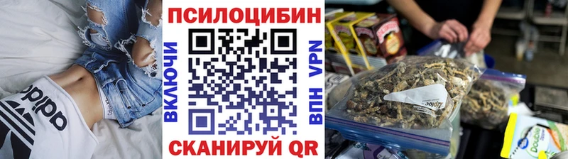 закладки  Куртамыш  Галлюциногенные грибы MAGIC MUSHROOMS 